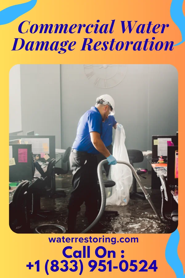 Commercial Water Damage Restoration in Abeytas, NM